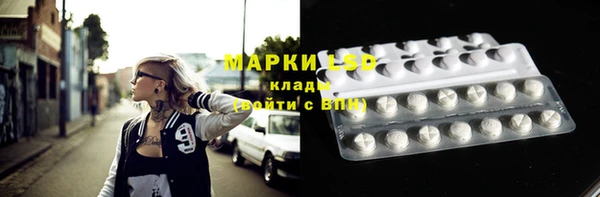 крисы Домодедово